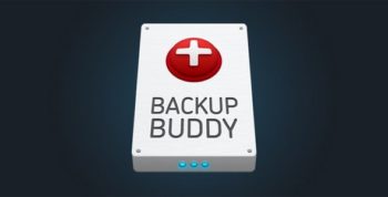 BackupBuddy - The Original WordPress Backup Plugin